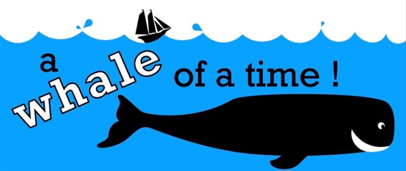 A whale of a time Banner HBC 2